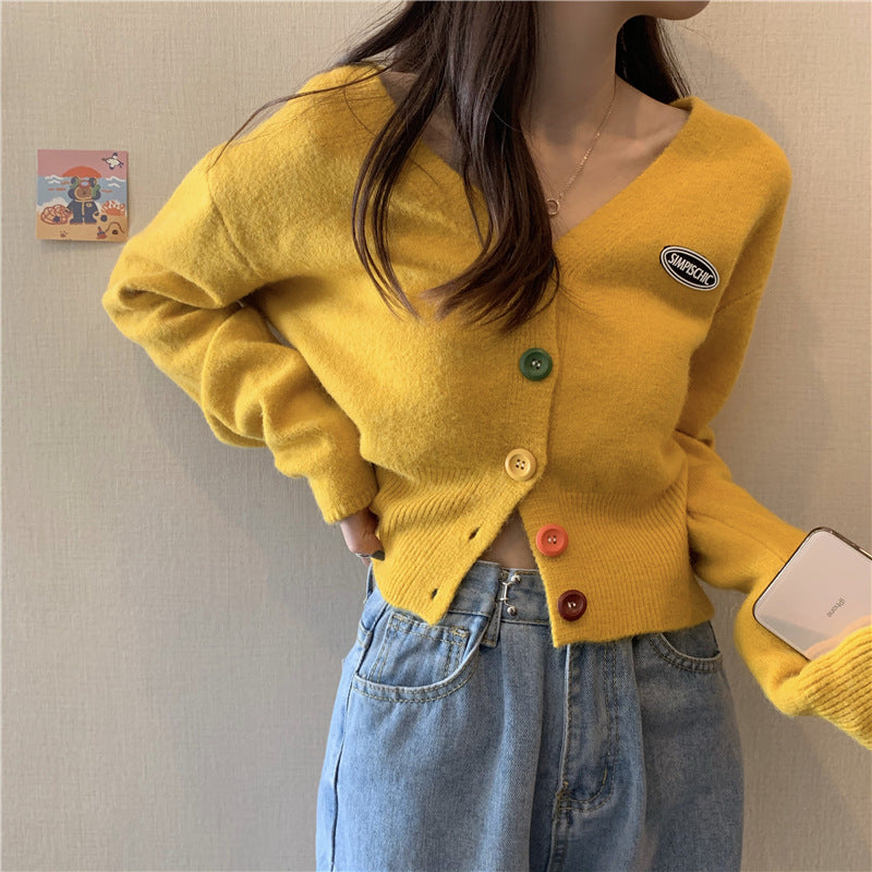 Femme Flerfarvet Knap-Cardigan Stilla