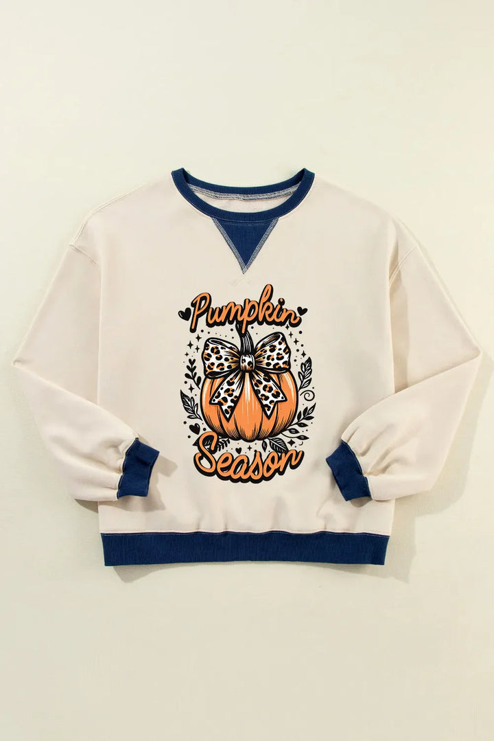 Stilla | Langærmet Sweatshirt med Græskar grafik