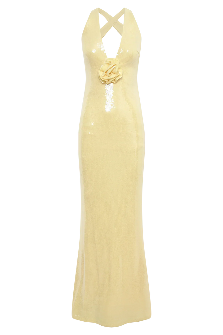 Stilla | Pailletter Maxi Kjole Med Roser Symbol