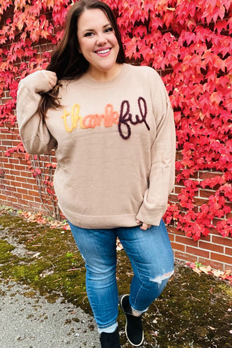 Stilla | Føle Taknemmelighed Pop up Sweatshirt Med Glitrende Broderi Taupe