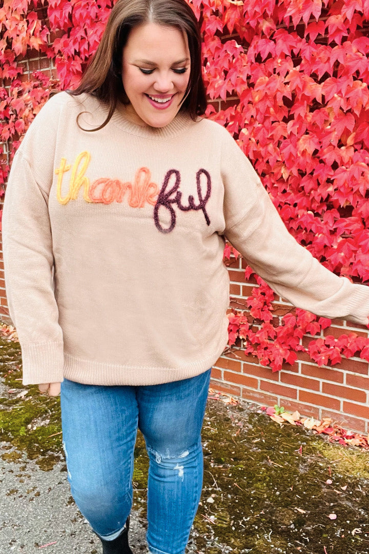 Stilla | Føle Taknemmelighed Pop up Sweatshirt Med Glitrende Broderi Taupe