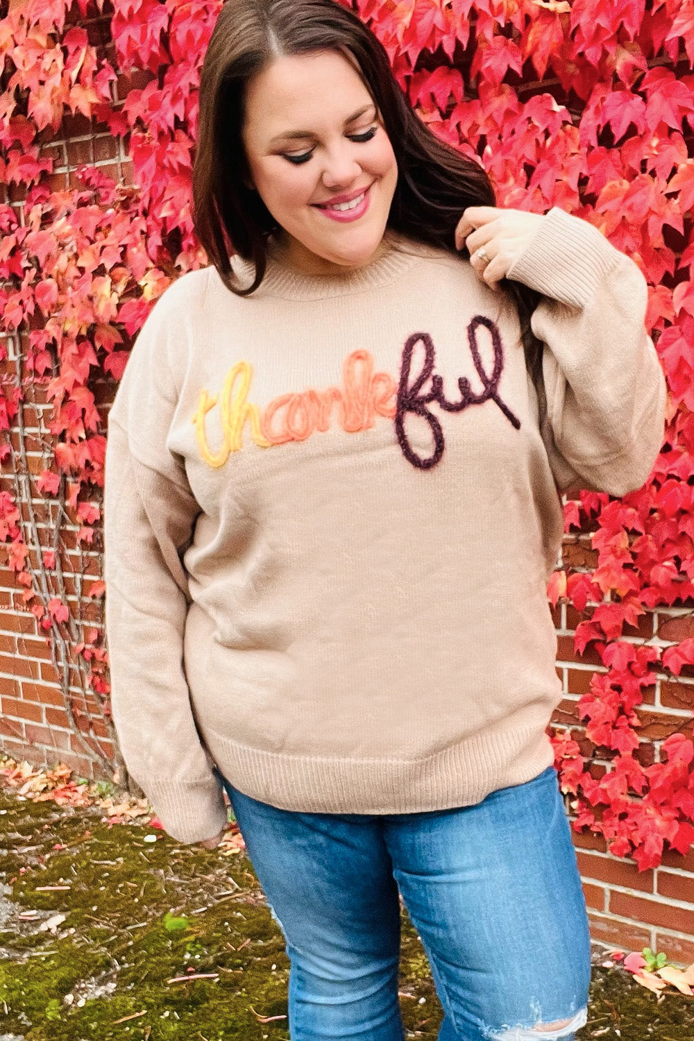 Stilla | Føle Taknemmelighed Pop up Sweatshirt Med Glitrende Broderi Taupe