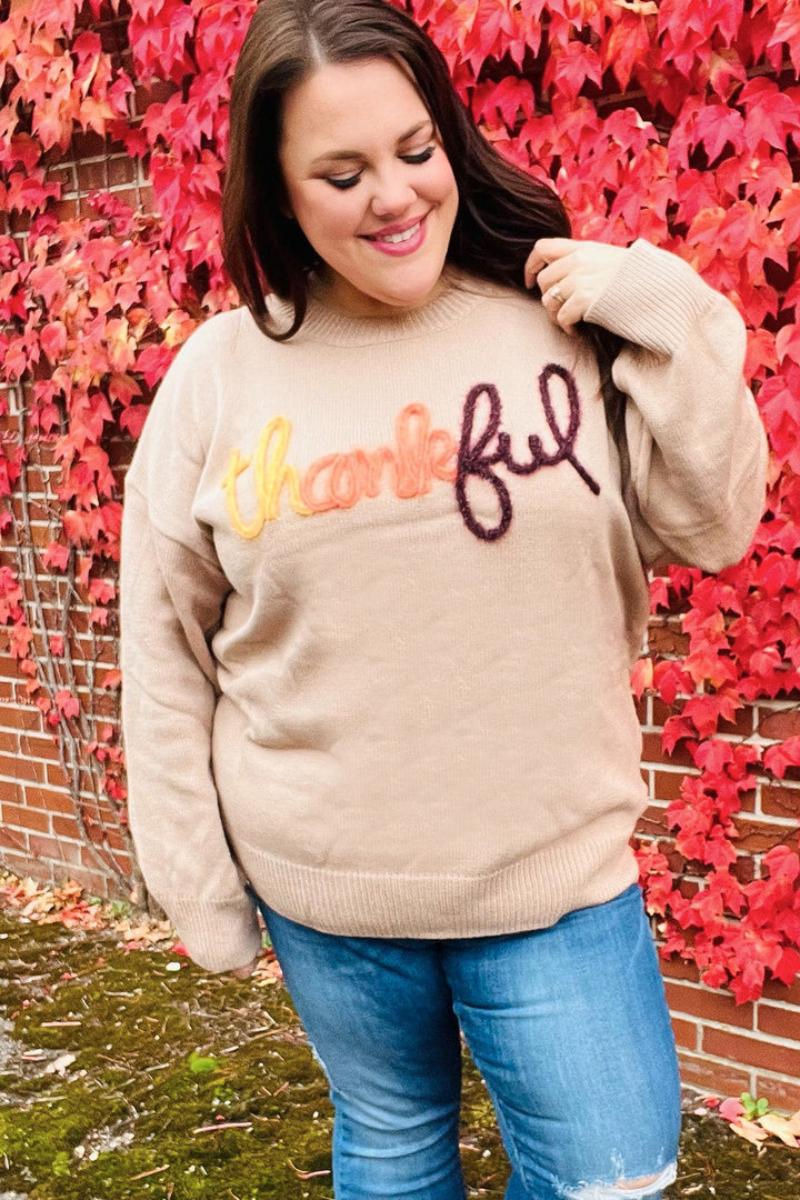 Stilla | Føle Taknemmelighed Pop up Sweatshirt Med Glitrende Broderi Taupe