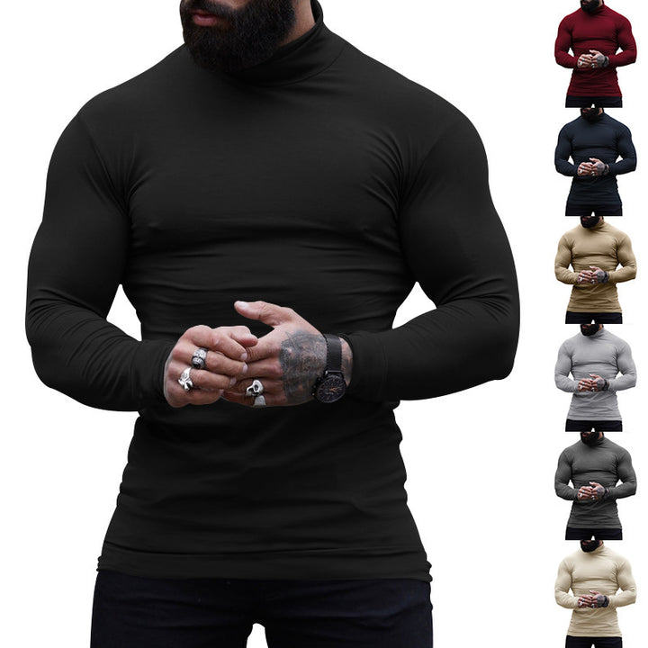 Herrer Langærmet Rullekrave Pullover Stilla