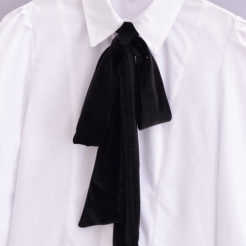 Dame Langærmet elegant Bluse med sløjfe-detalje Stilla
