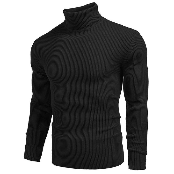 Herrer finstrikket pullover med høj krave og ribstruktur Stilla