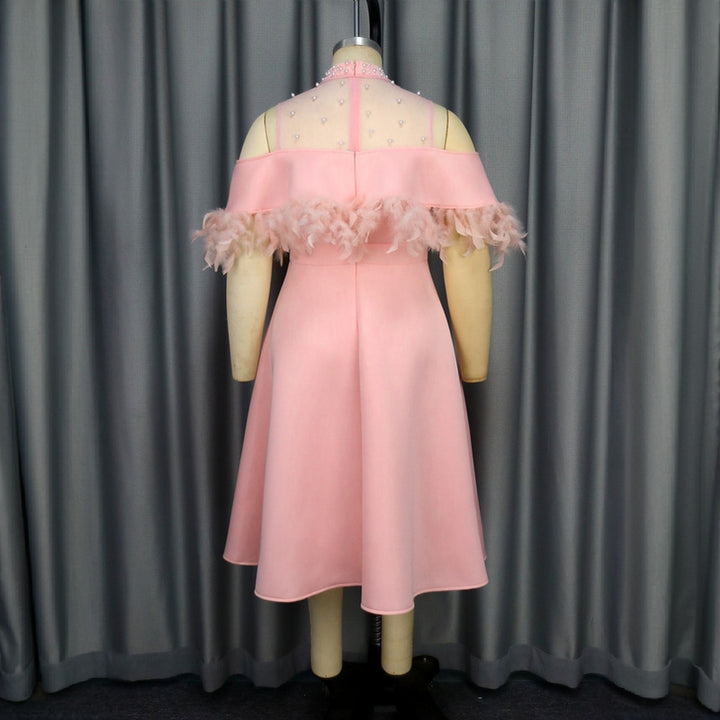 Dame elegant kjole med transparente puffærmer og dekorative fjerdetaljer Skovae