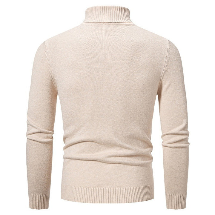 Herren moderigtig turtleneck sweater med struktureret mønster Stilla