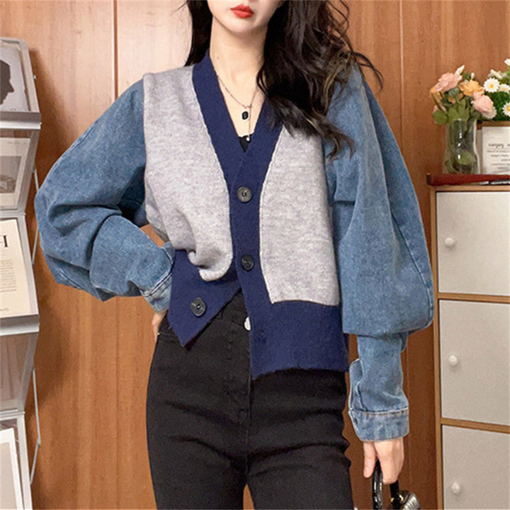 Femme Stilfuld Farveblok Strikcardigan Stilla