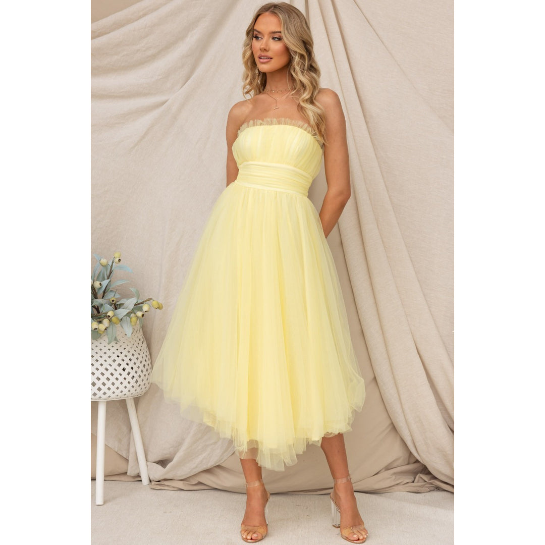Dame Chiffon-prinsessekjole med transparent tyl og rynket overdel Stiila