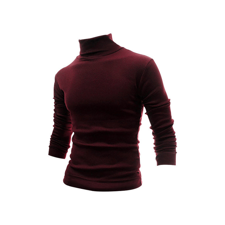 Herrer Langærmet Rullekrave Pullover Stilla