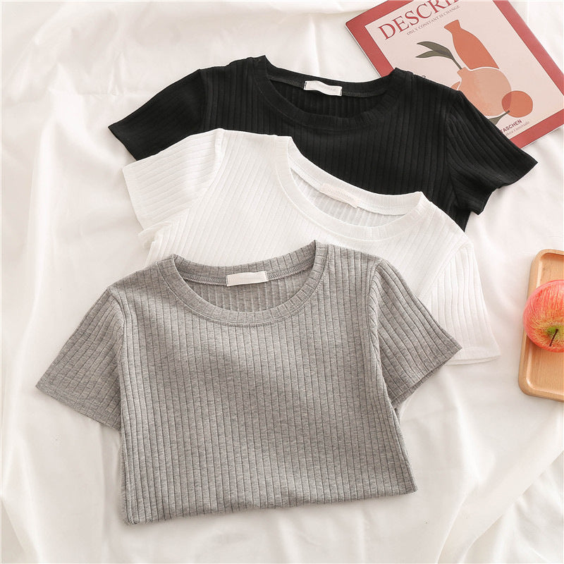 Femme Tekstureret Rib Korte Ærmer-T-Shirt Stilla