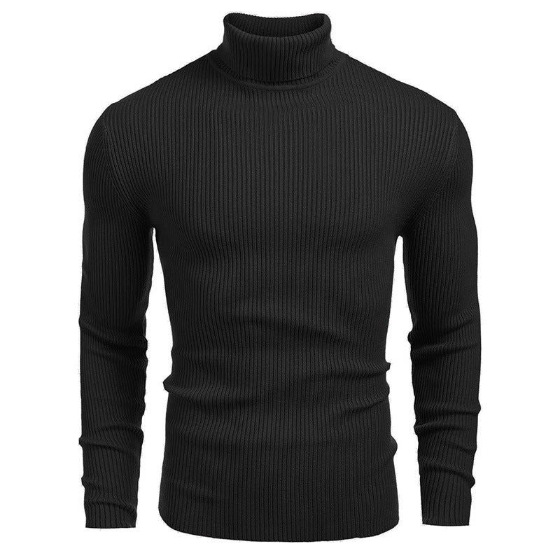 Herrer finstrikket pullover med høj krave og ribstruktur Stilla