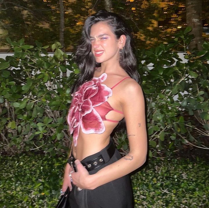 Dame Blomster-Crop-Top med 3D blomsterapplikationer og gennemsigtigt stof Skovae