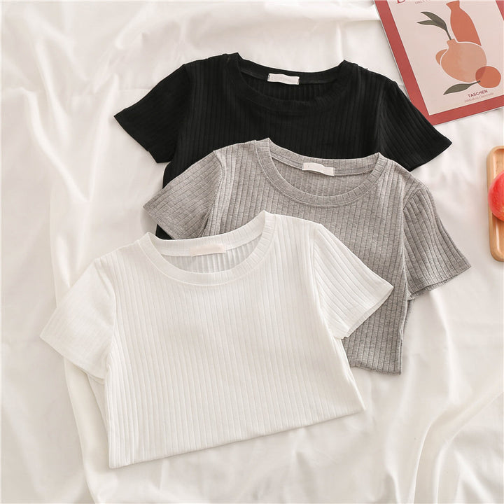 Femme Tekstureret Rib Korte Ærmer-T-Shirt Stilla