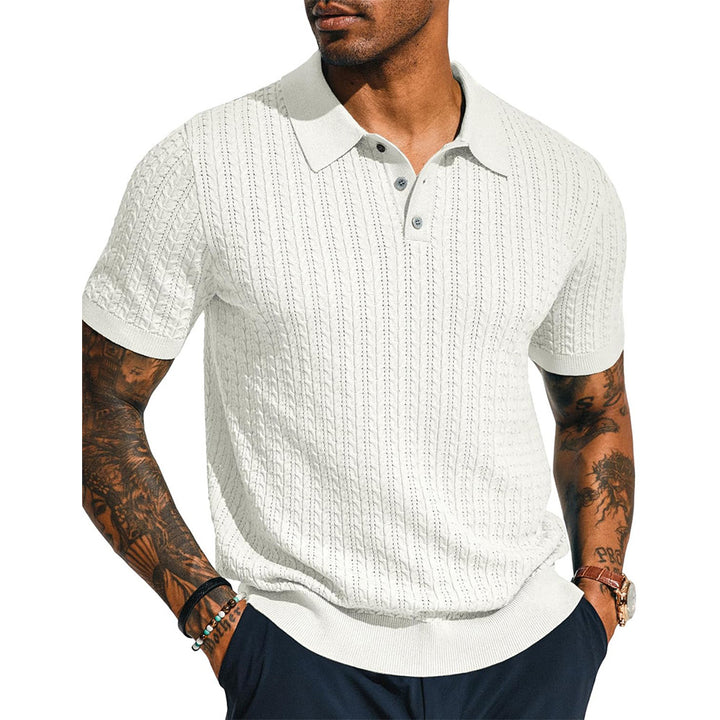 Herrer Poloshirt med struktureret strikdesign Stilla