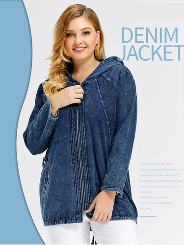 Stilla | Oversized Curve Champion Denim Hoodie Pullover